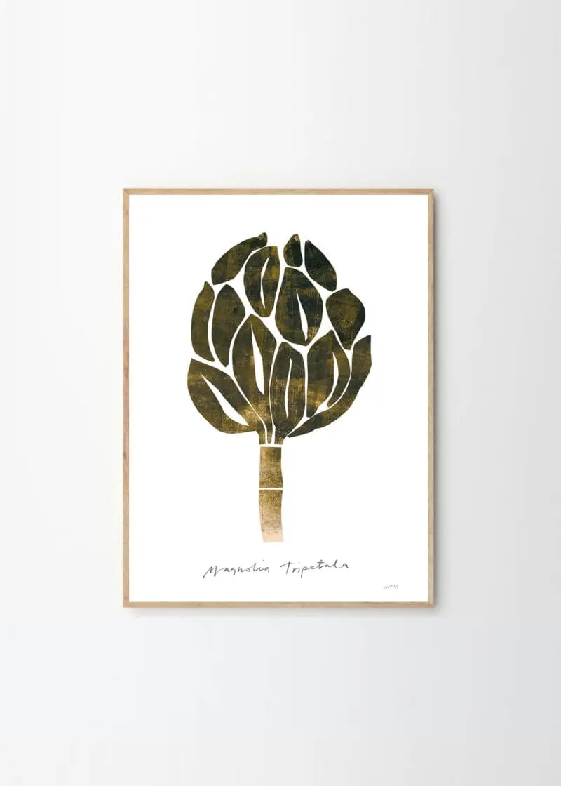 Magnolia