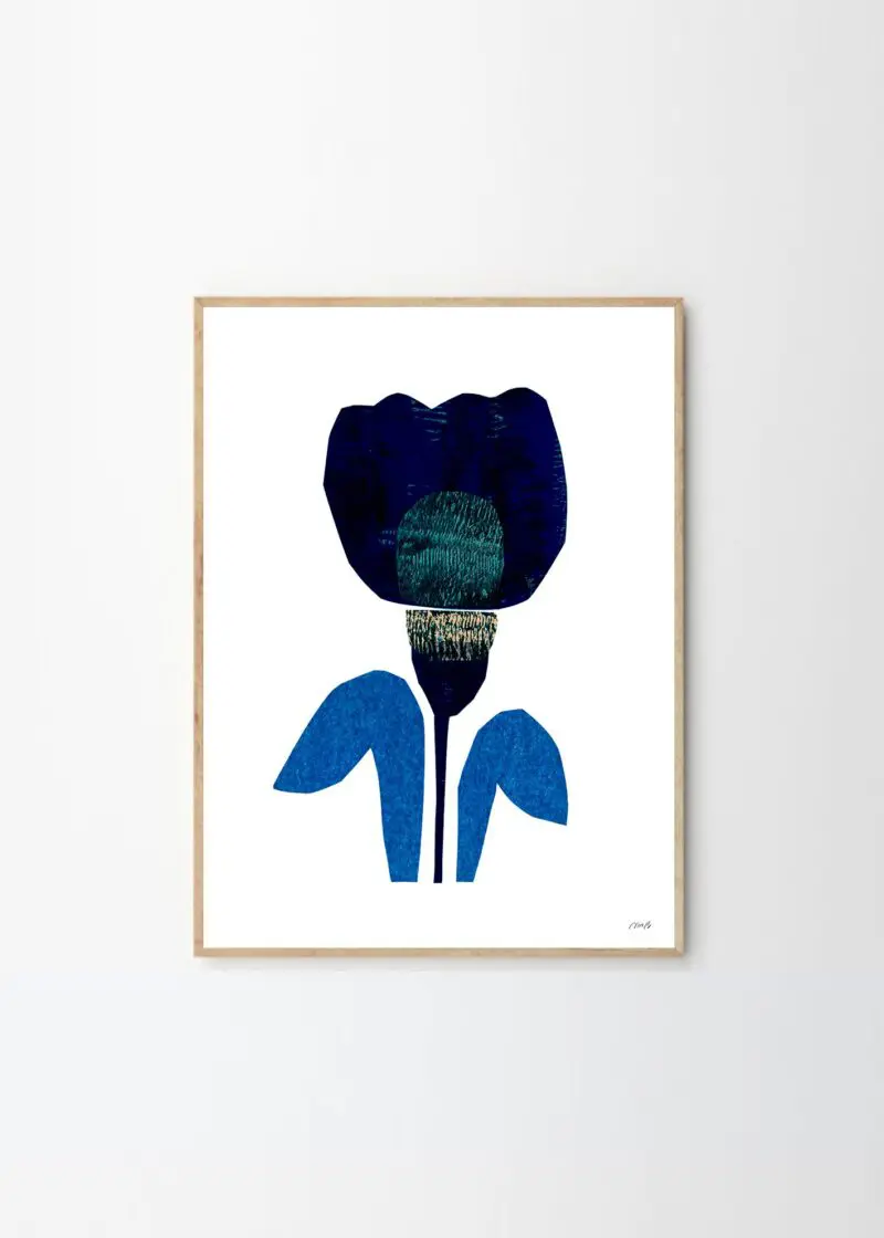 Tulip