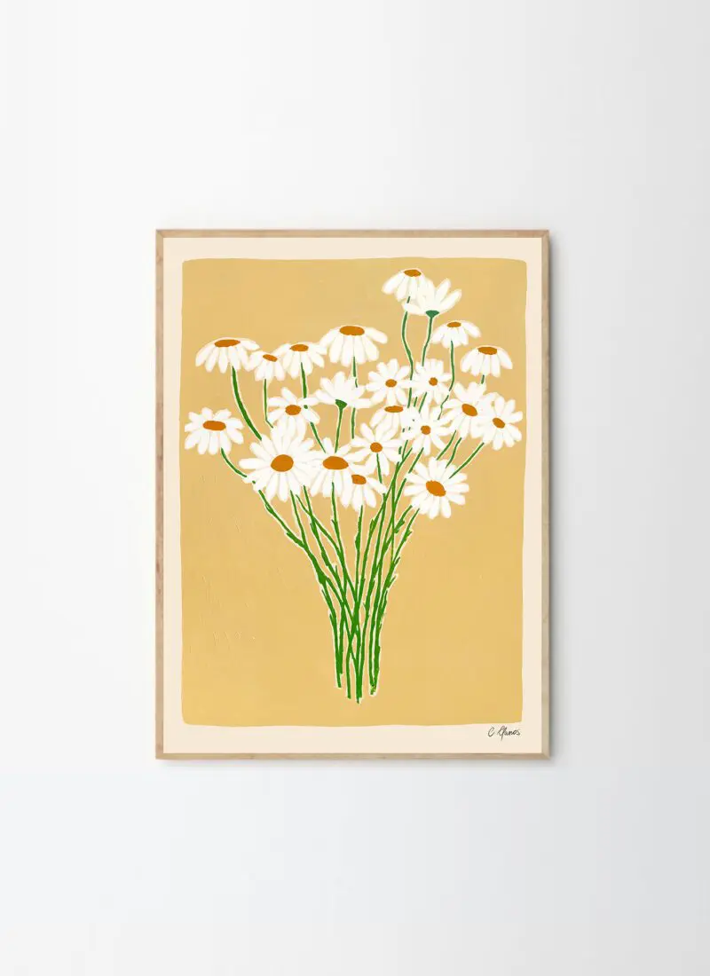 Daisies