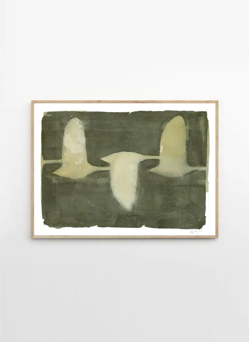 Swans