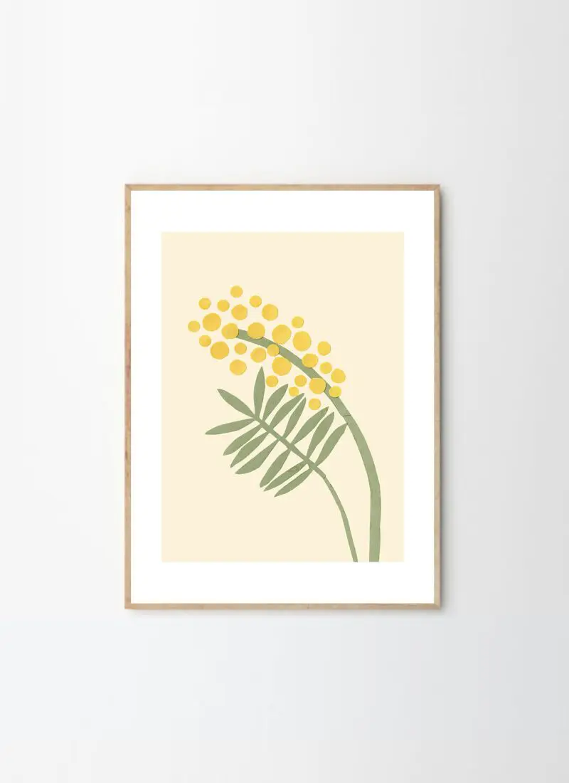 Acacia